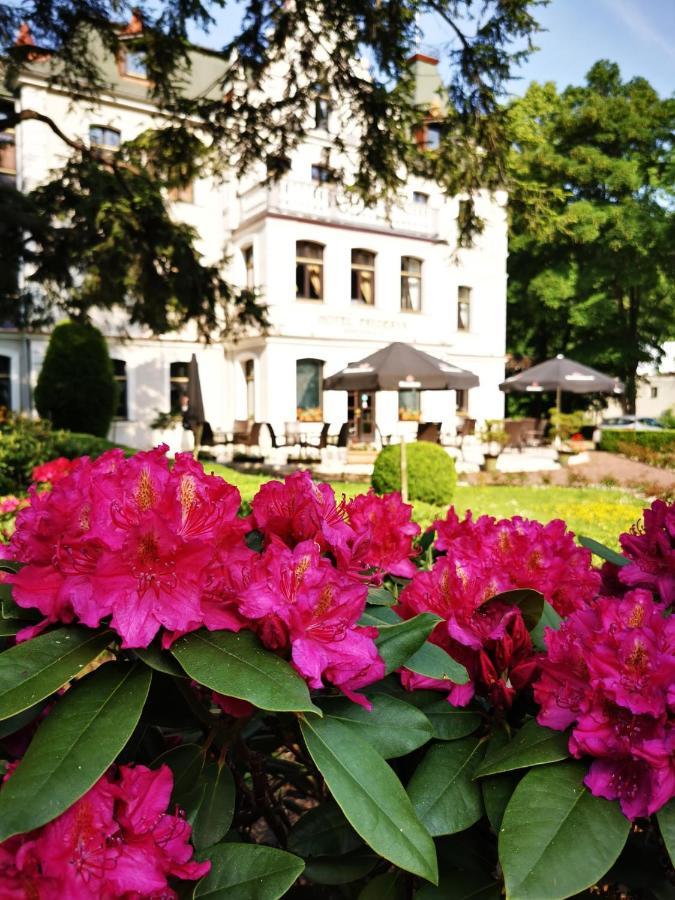 Hotel Fryderyk Duszniki Zdrój Εξωτερικό φωτογραφία