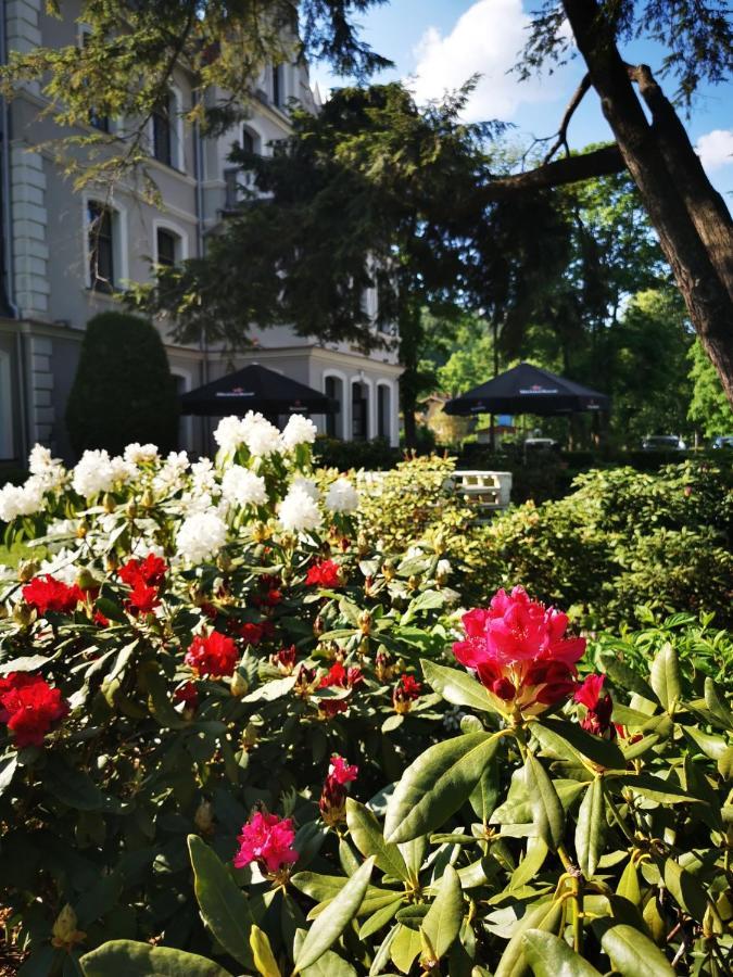 Hotel Fryderyk Duszniki Zdrój Εξωτερικό φωτογραφία
